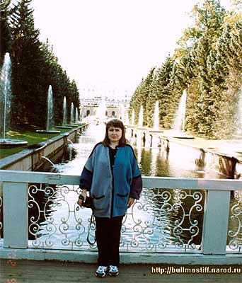 Петергоф.  Вид на фонтан Самсон и Петродворец от Финского залива.